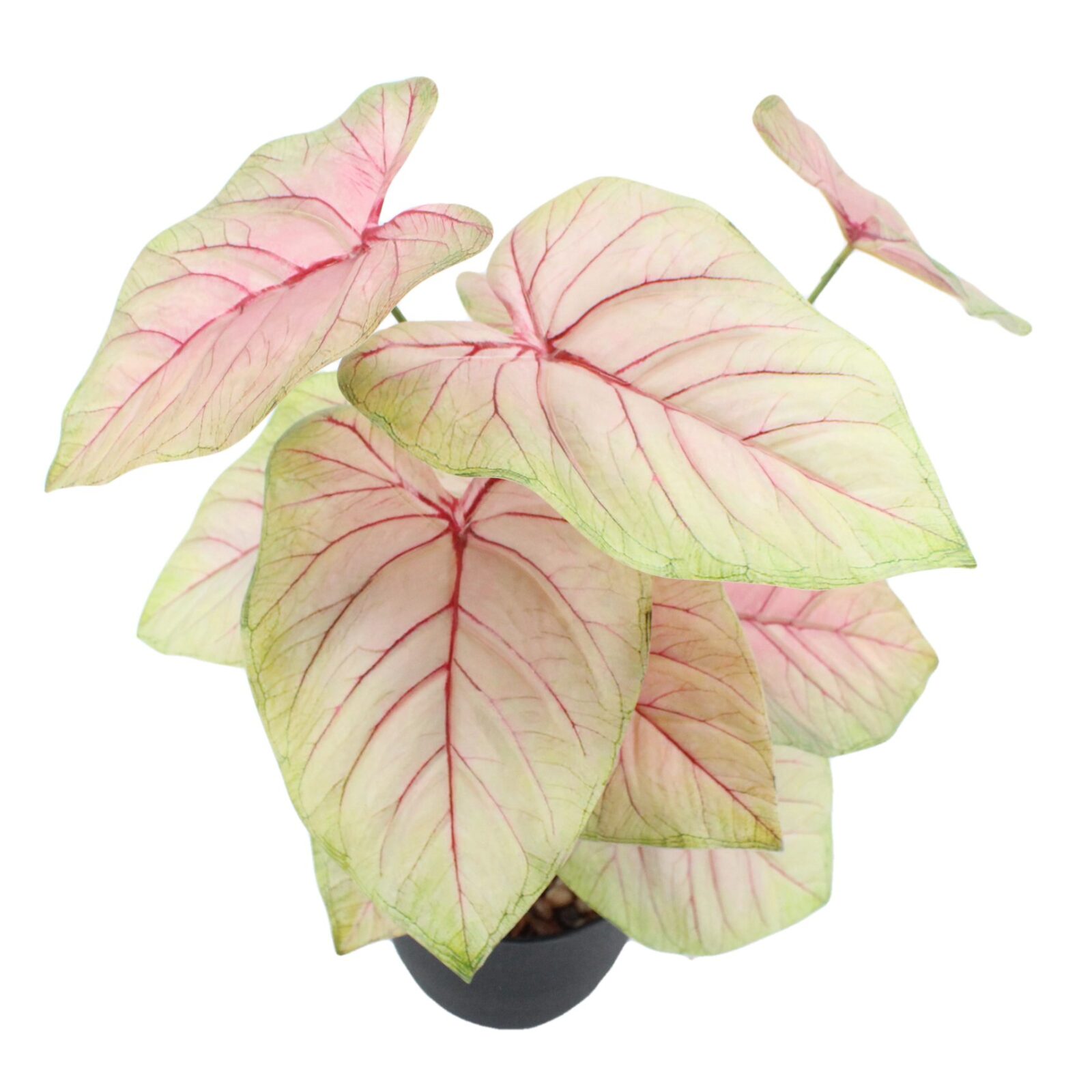 Small Artificial Caladium Plant - Image 5