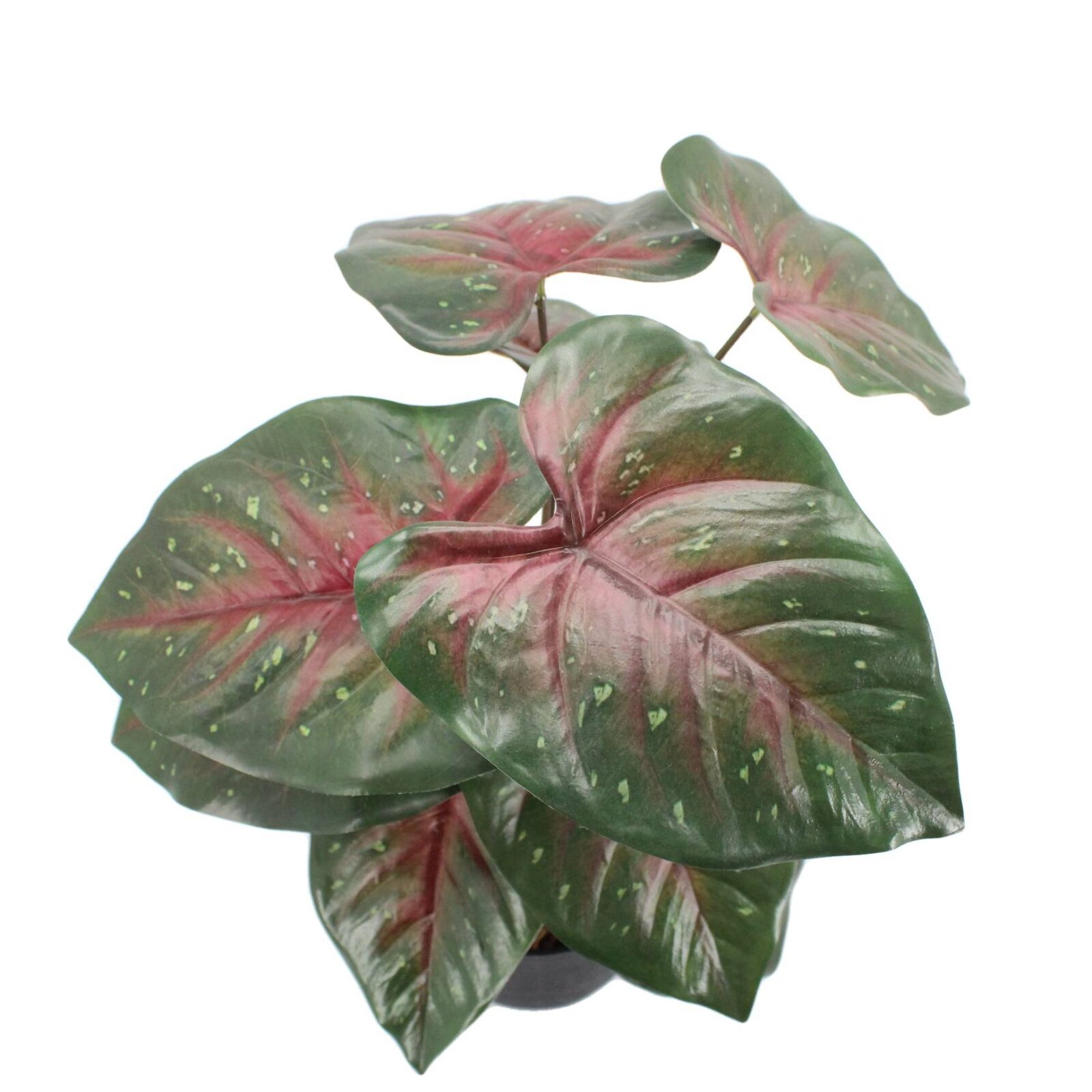 Small Artificial Caladium Plant - Image 6