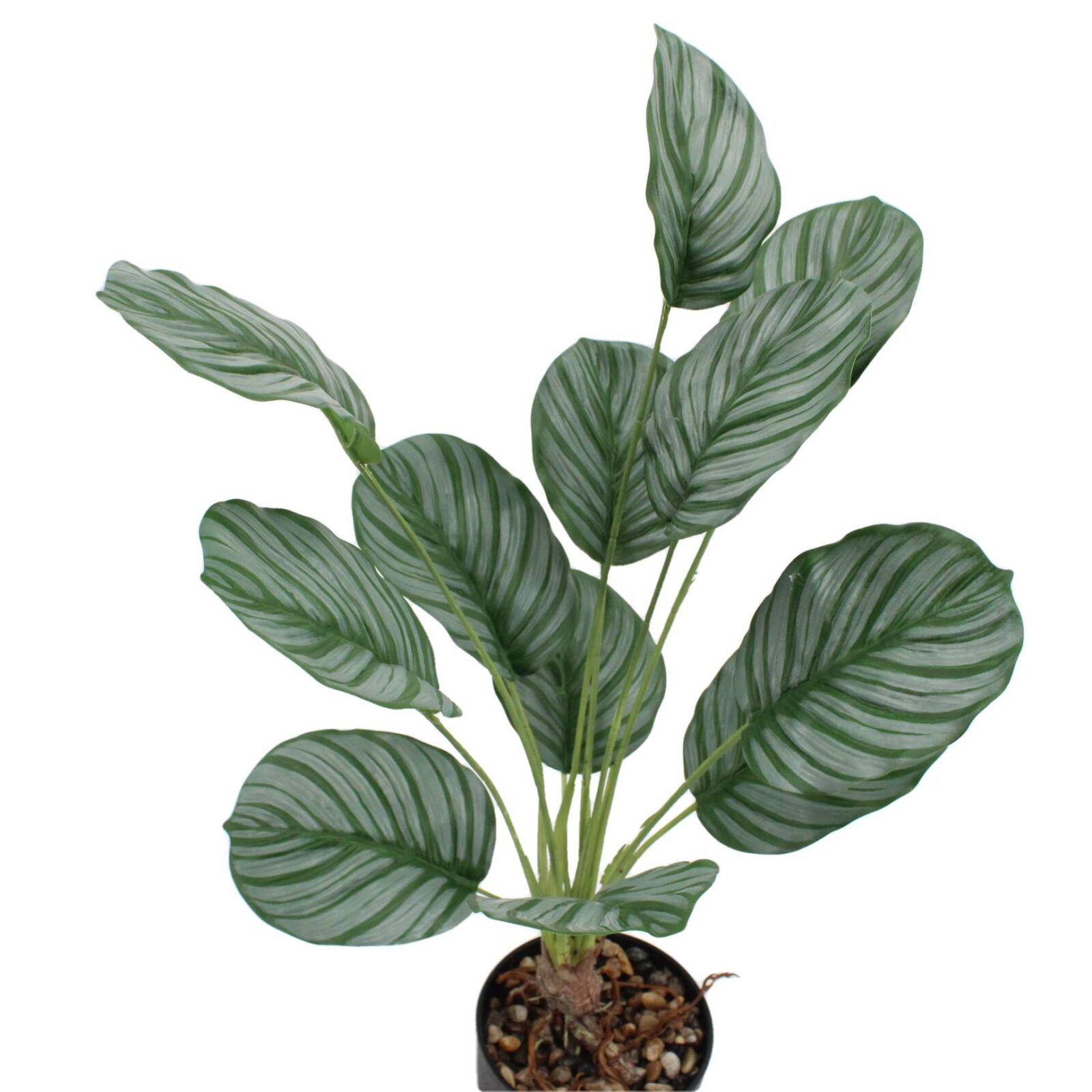 Lifelike Potted Artificial Calathea Plant - Image 2