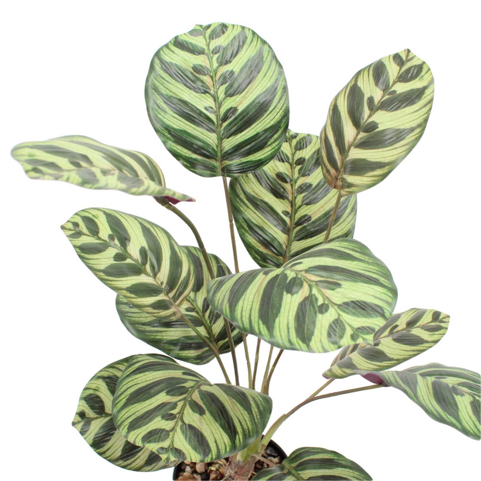 Lifelike Potted Artificial Calathea Plant - Image 4