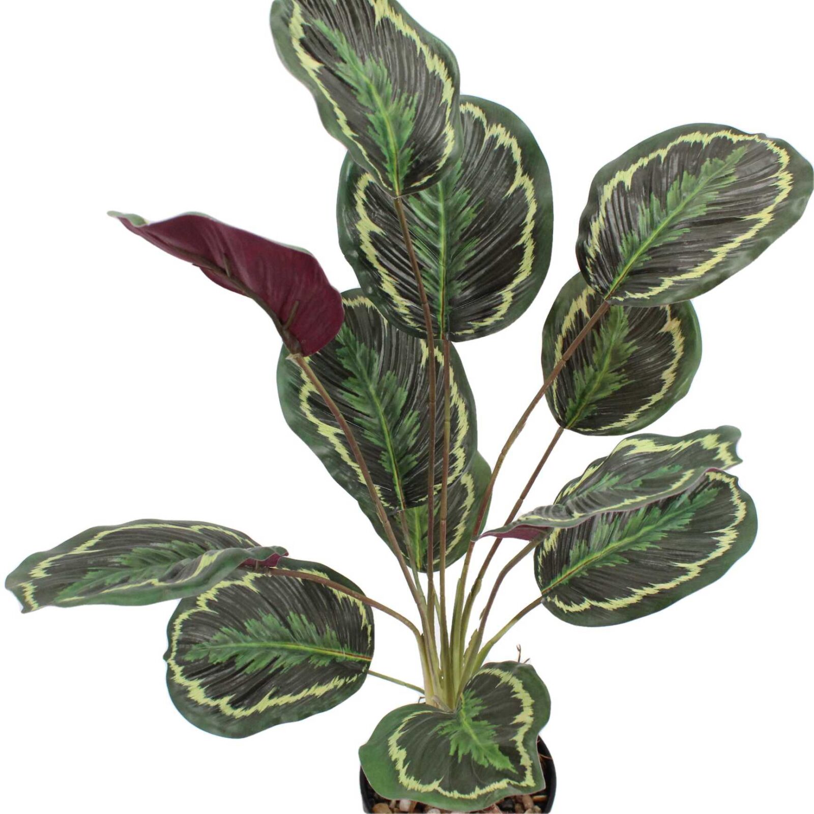 Lifelike Potted Artificial Calathea Plant - Image 5