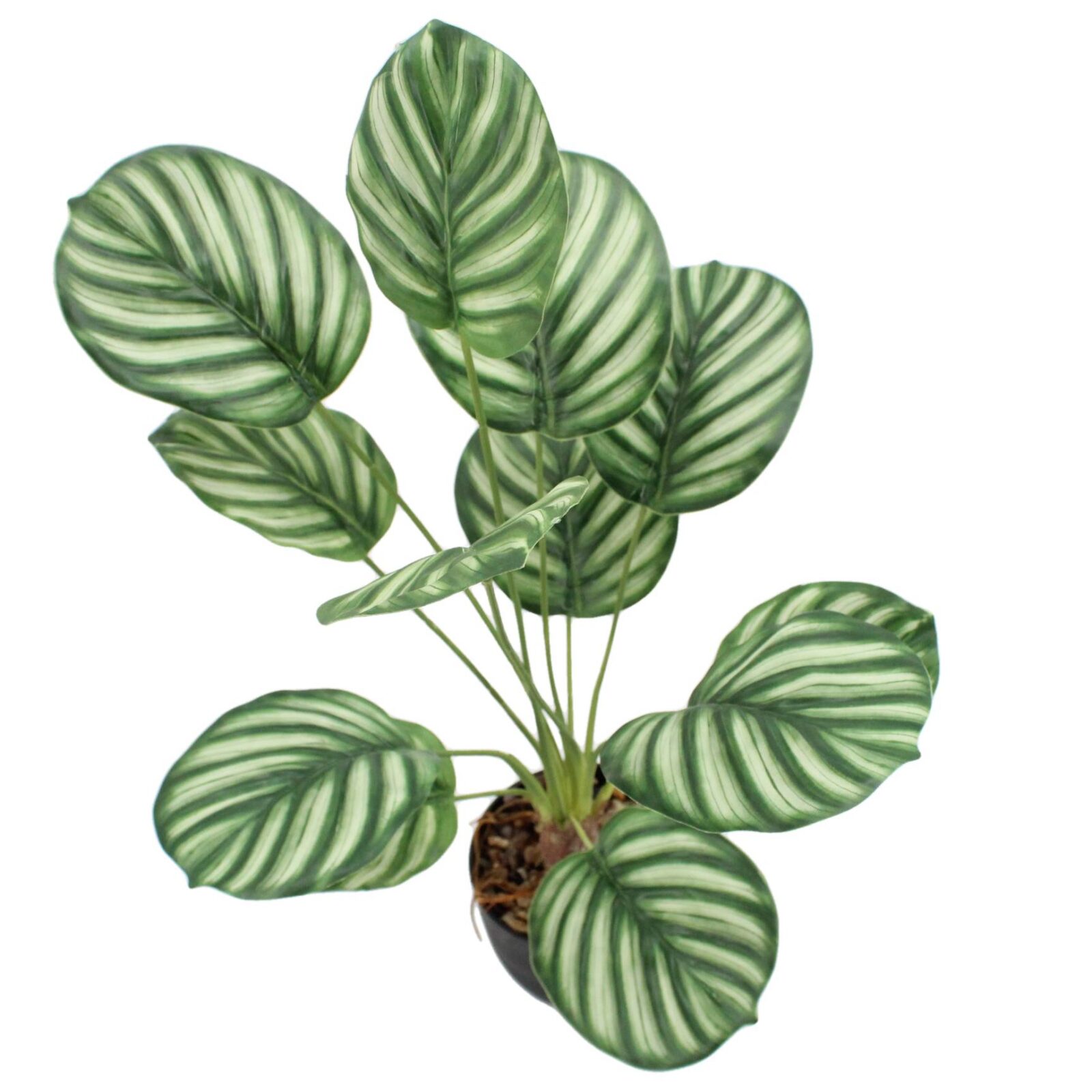 Lifelike Potted Artificial Calathea Plant - Image 6