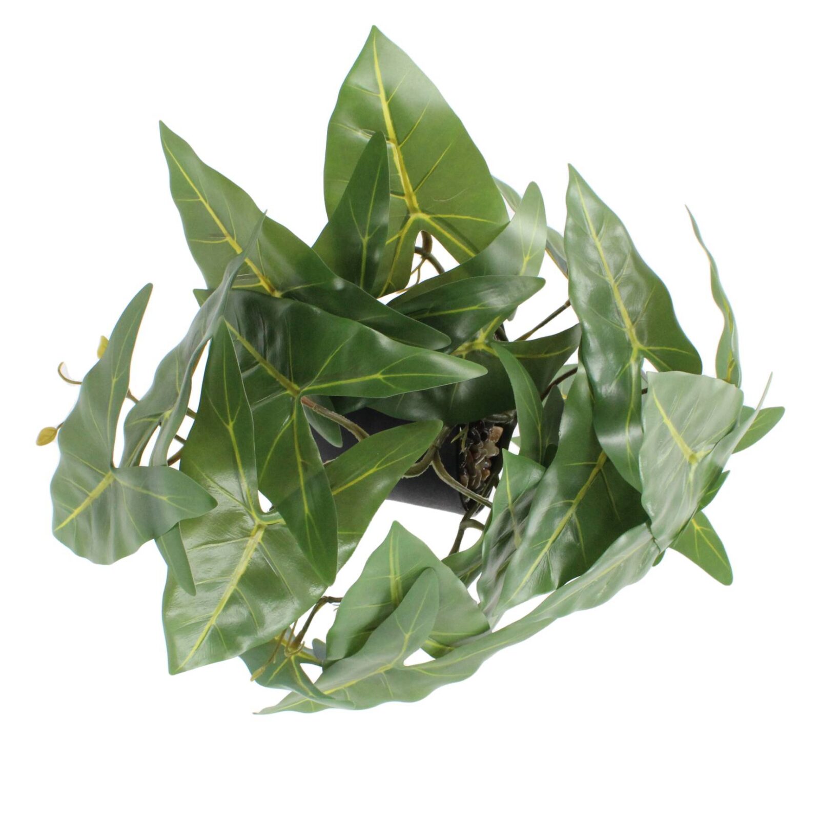 13.3" künstliche hängende Caladium-Pflanze im Topf - Bild 7