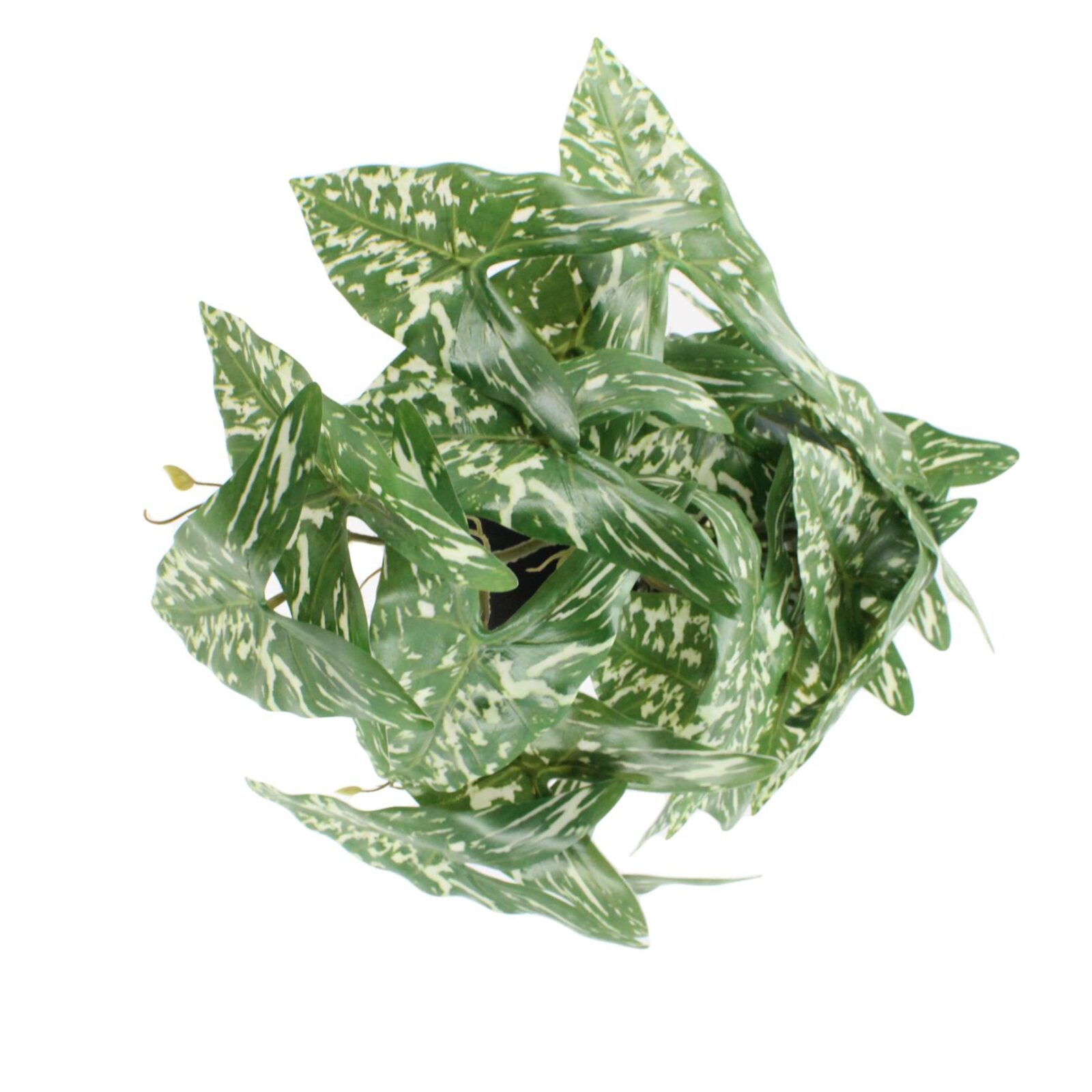 13.3" künstliche hängende Caladium-Pflanze im Topf - Bild 6