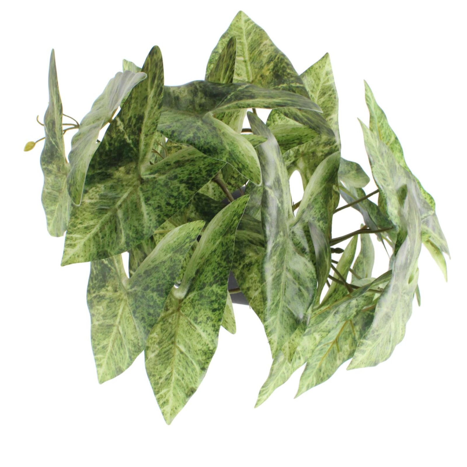 13.3" künstliche hängende Caladium-Pflanze im Topf - Bild 5
