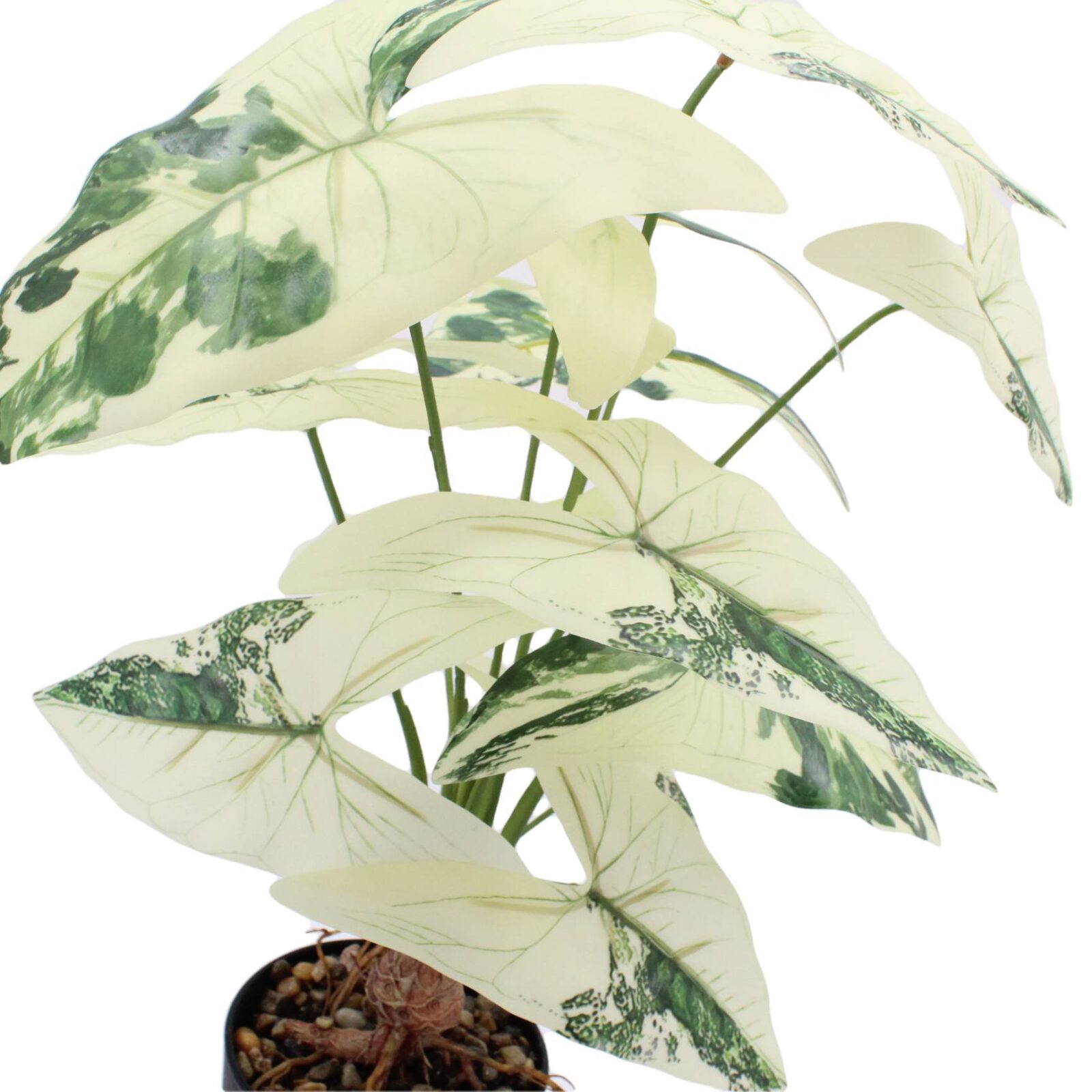 21.6" Artificial Caladium Arrowhead Plant in Pot - Image 5