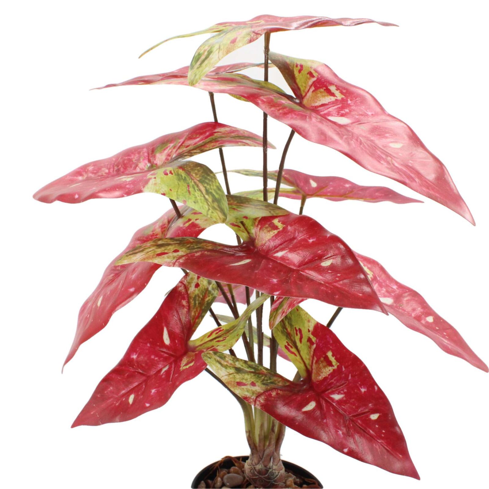 21.6" Artificial Caladium Arrowhead Plant in Pot - Image 7