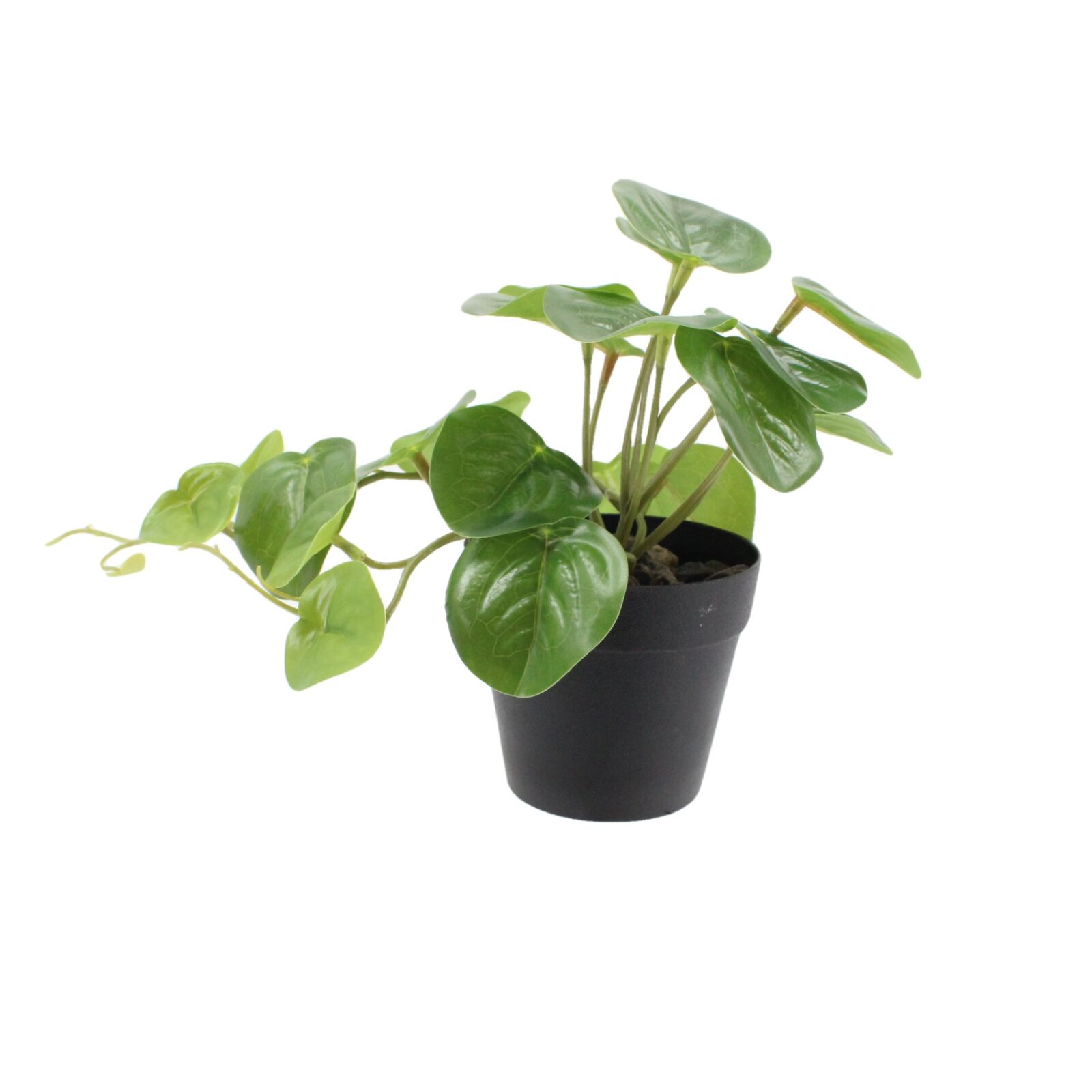 Potted Artificial Plant Pilea Peperomioides