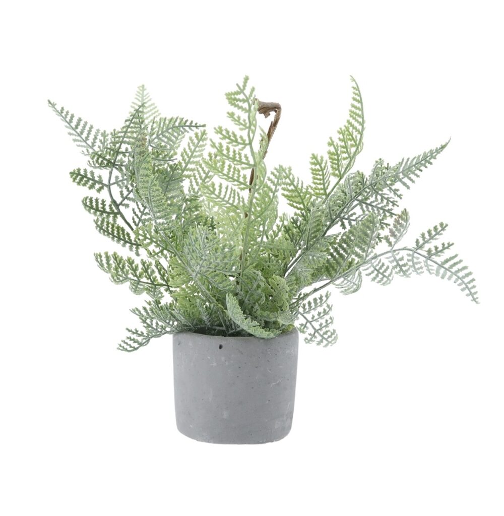 Artificial Fern Plants
