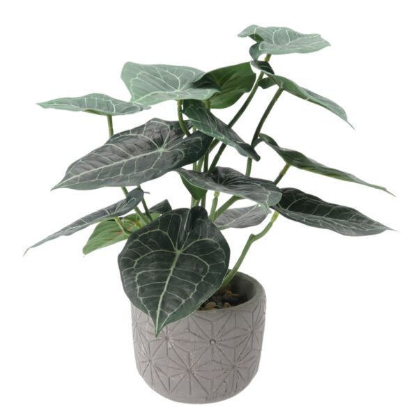 Pot Plant Artificial Caladium Bicolor