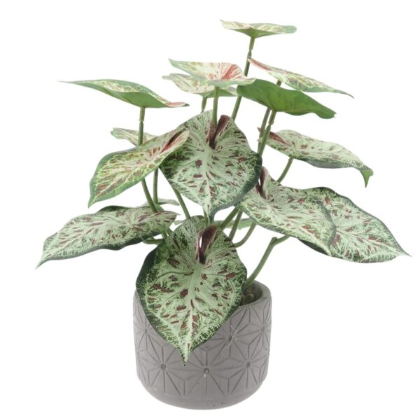 Pot Plant Artificial Caladium Bicolor