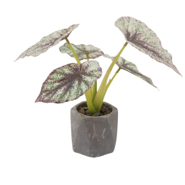 Potted Plant Artificial Begonia