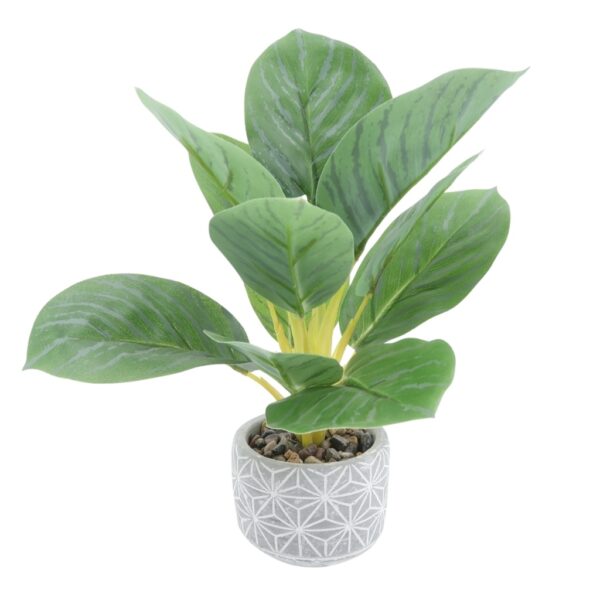 Indoor Plant Artificial Calathea