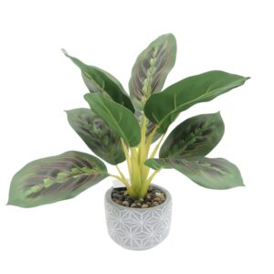 Indoor Plant Artificial Calathea