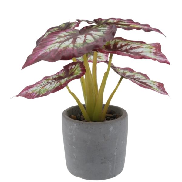 Potted Plant Artificial Begonia