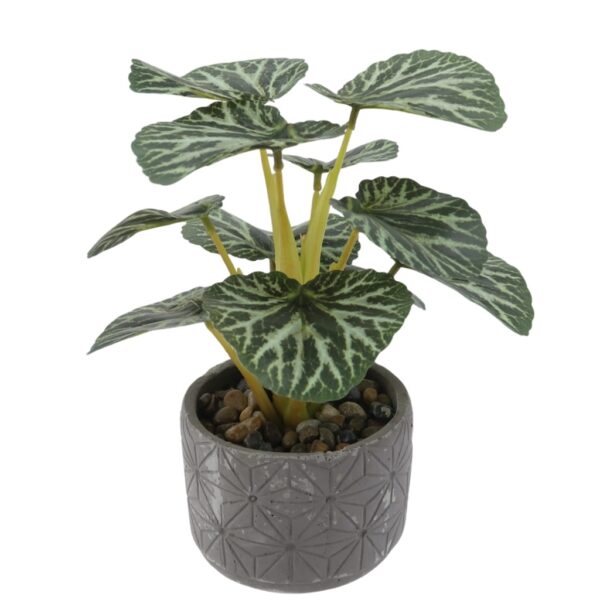 Potted Artificial Begonia Plant