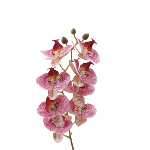 Artificial Phalaenopsis Orchid Stem