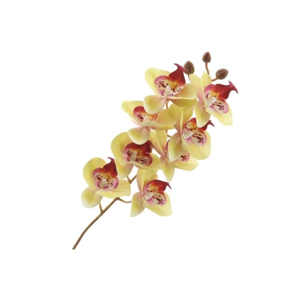 Artificial Phalaenopsis Orchid Stem