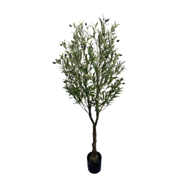 Olive Tree Artificial