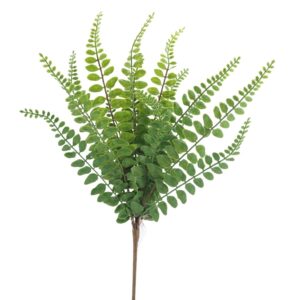 Fern Foliage