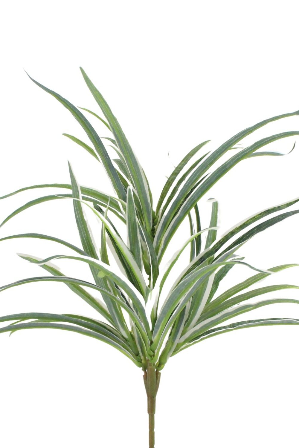 Faux Spider Plant