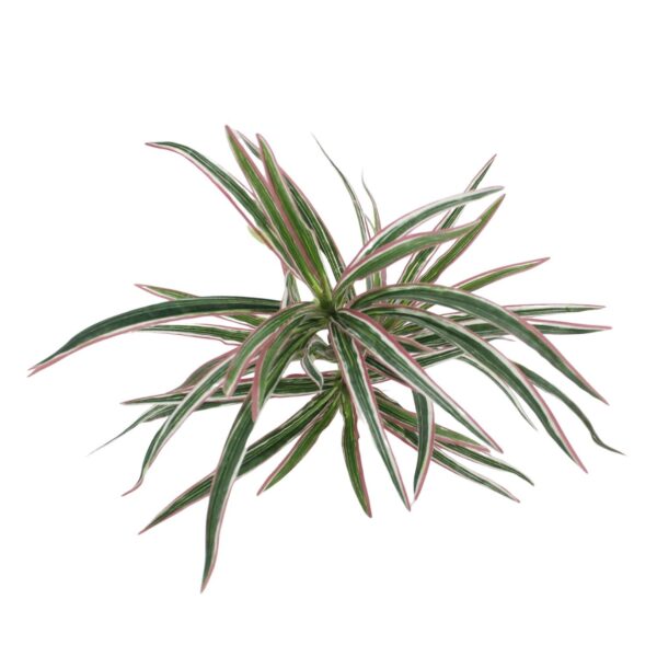 Artificial Spider Plants