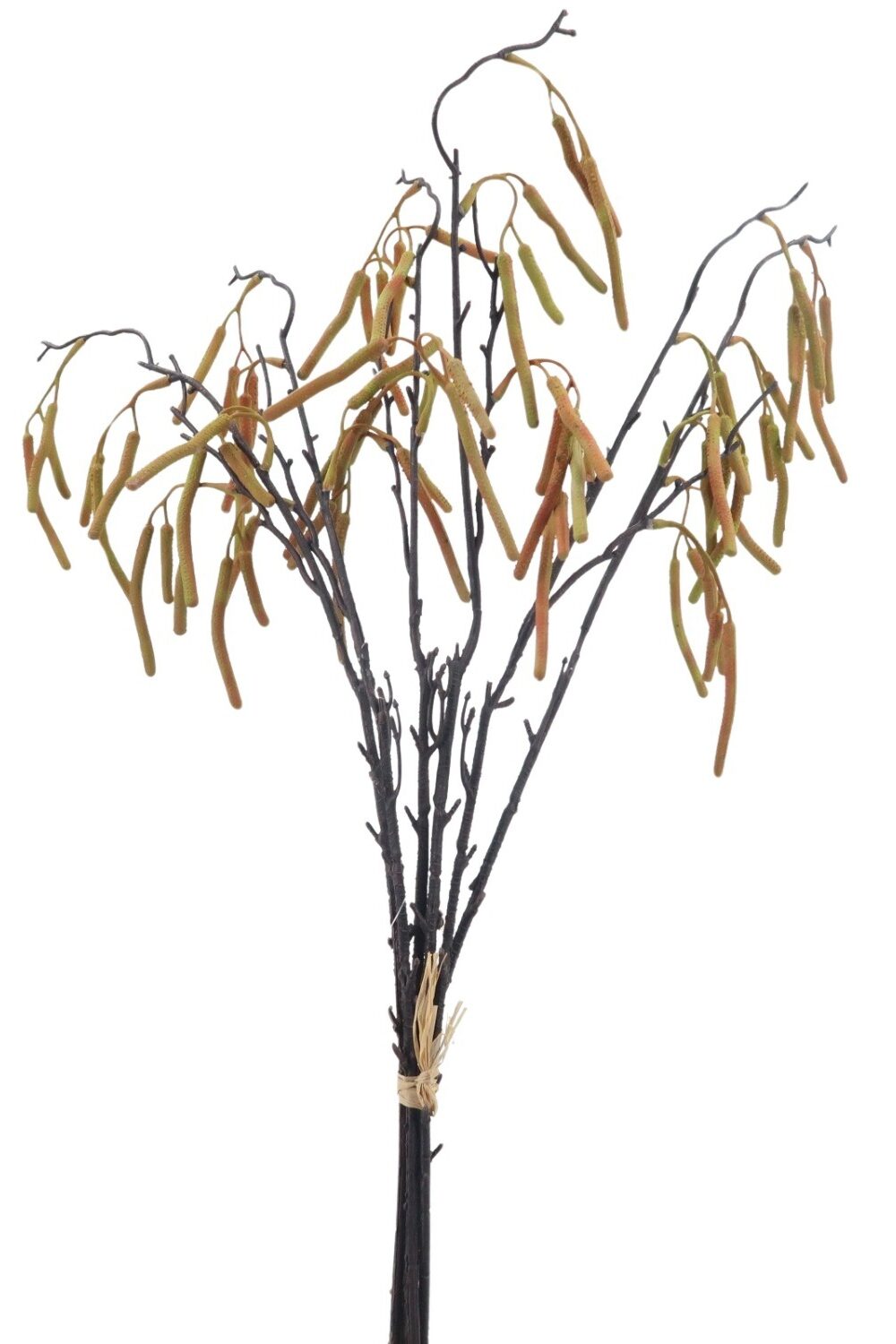 Faux House Plants
