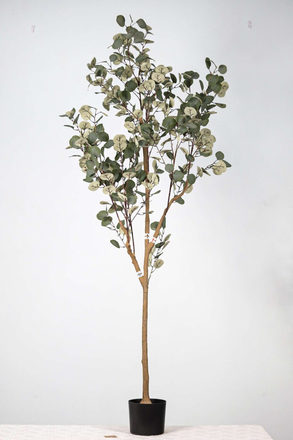 Artificial Eucalyptus Tree