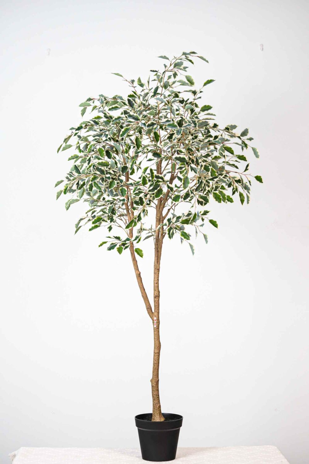 artificial-Ficus-tree