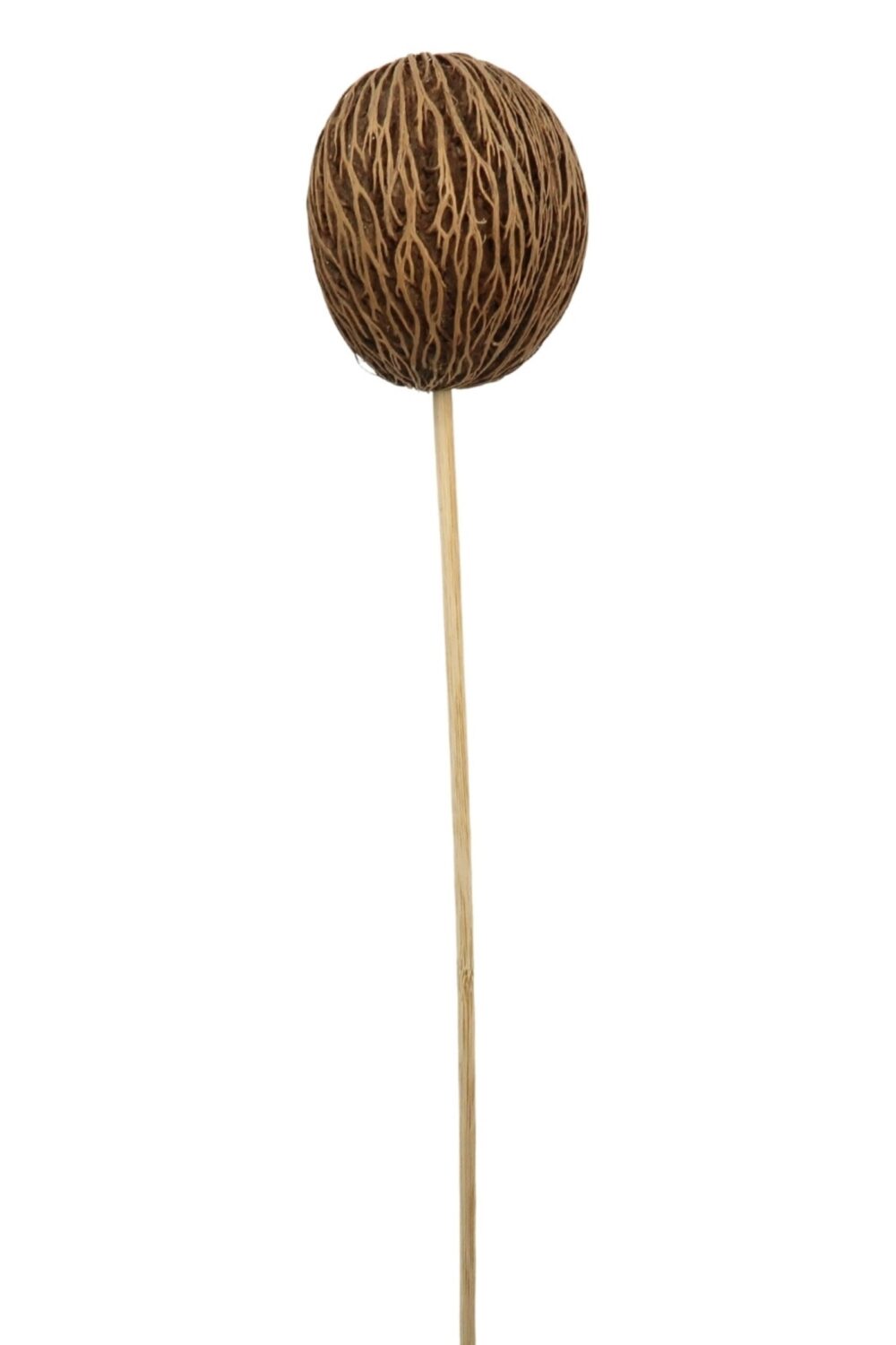 getrocknete Mintola-Kugel