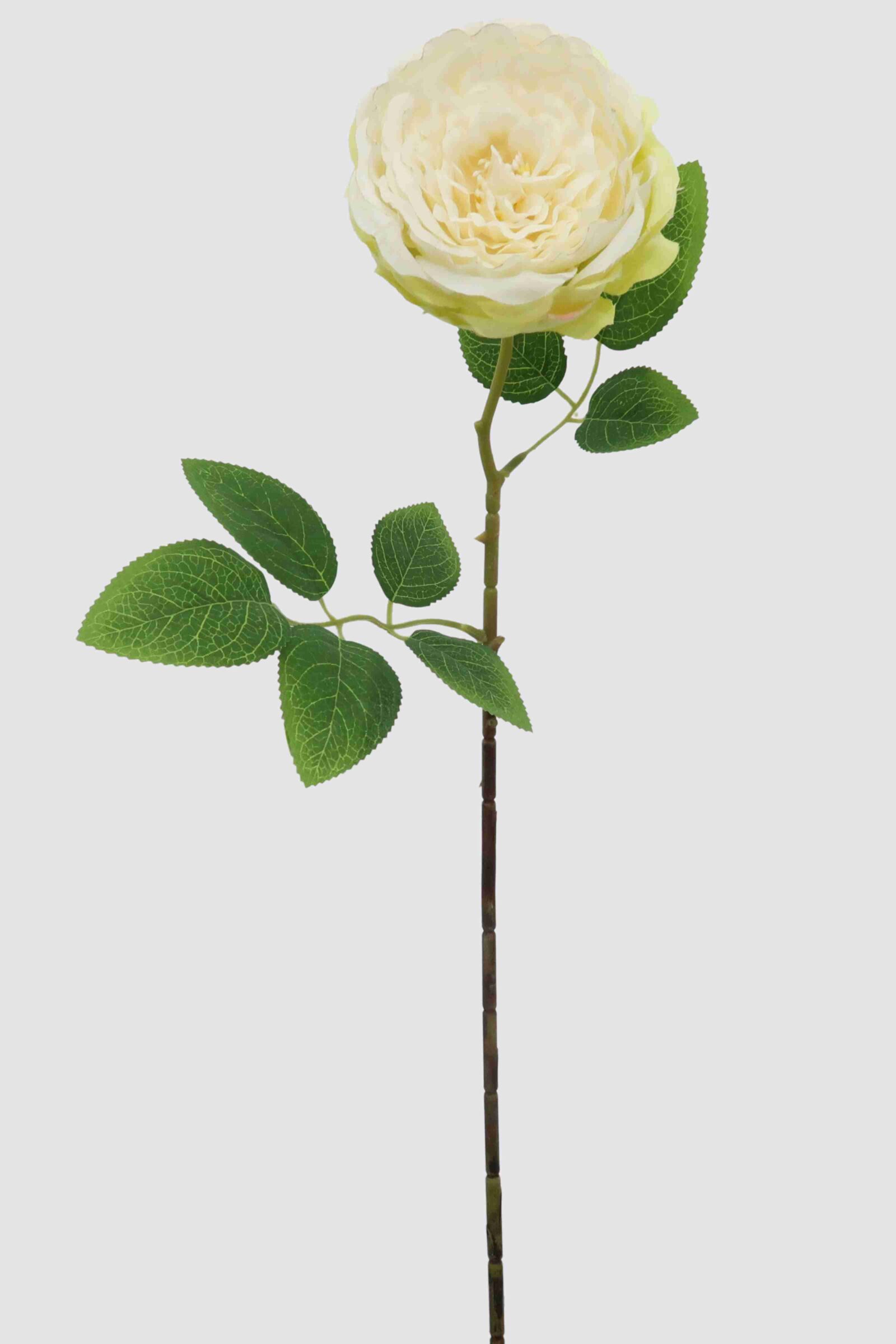 artificial rose