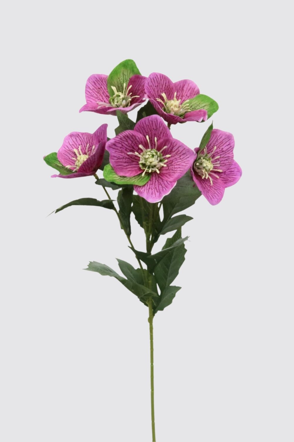 Faux Helleborus Flower