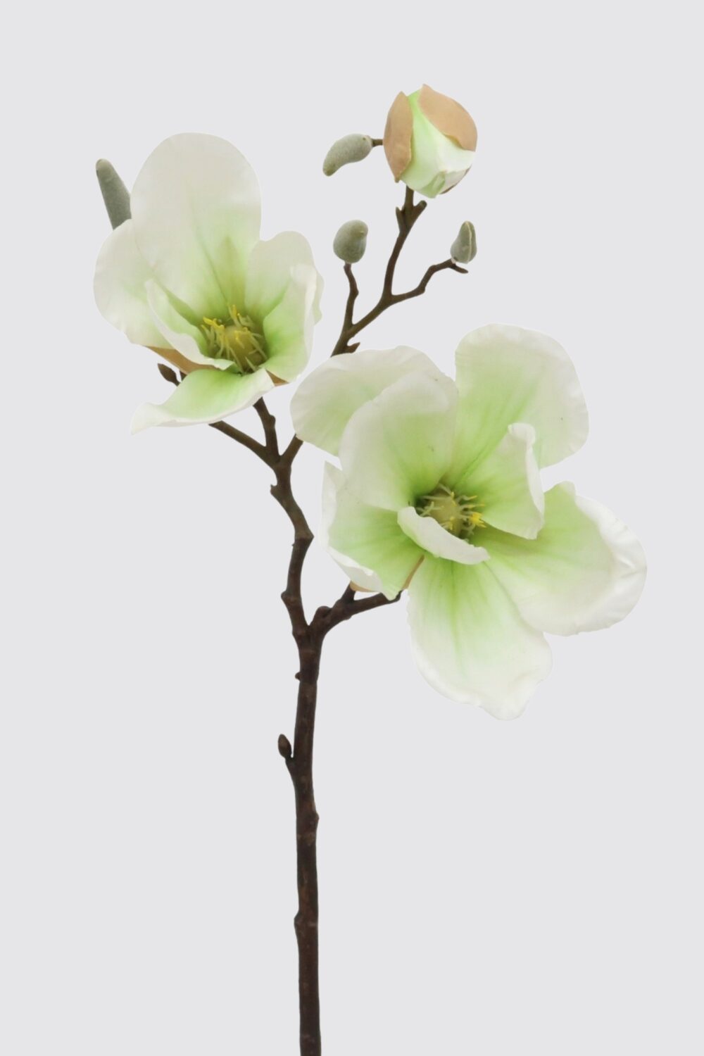 artificial magnolia