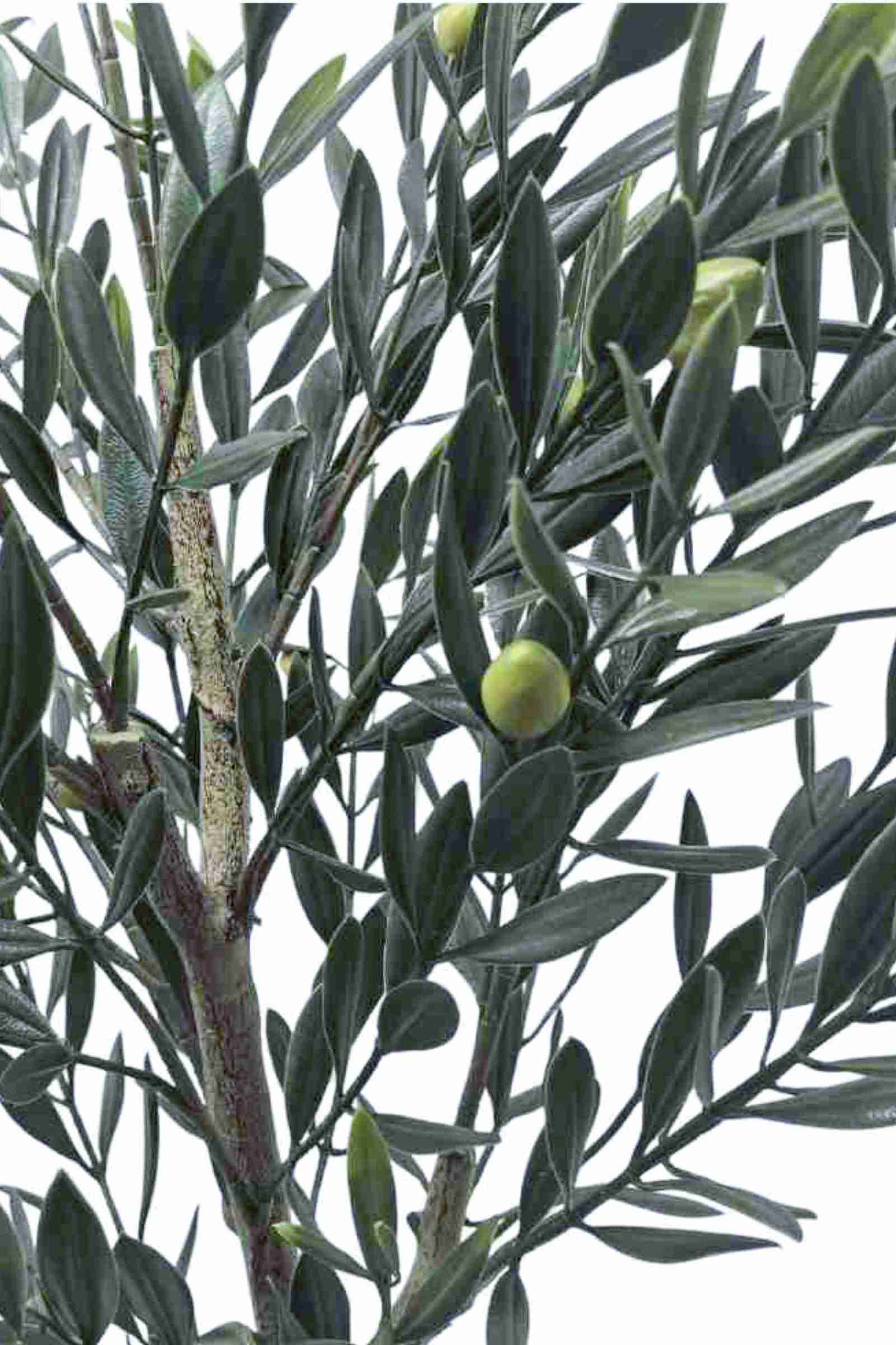 faux Olive tree