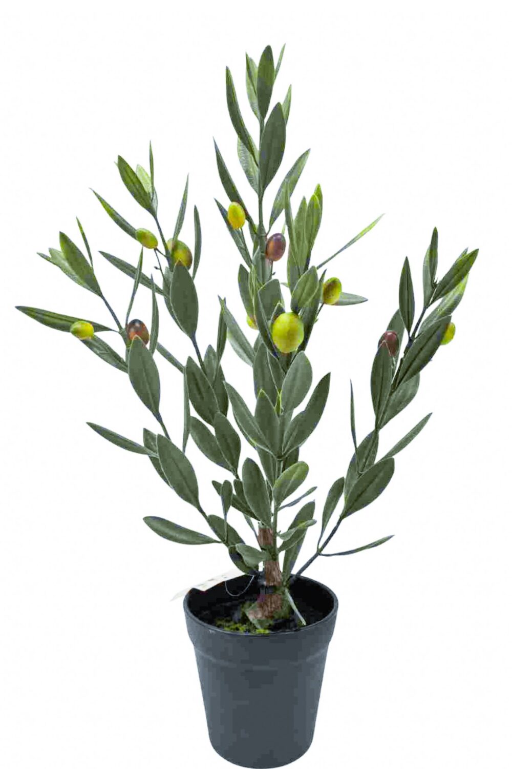 faux olive trees