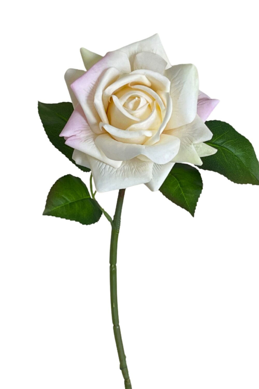 Real Touch Hydrating Rose