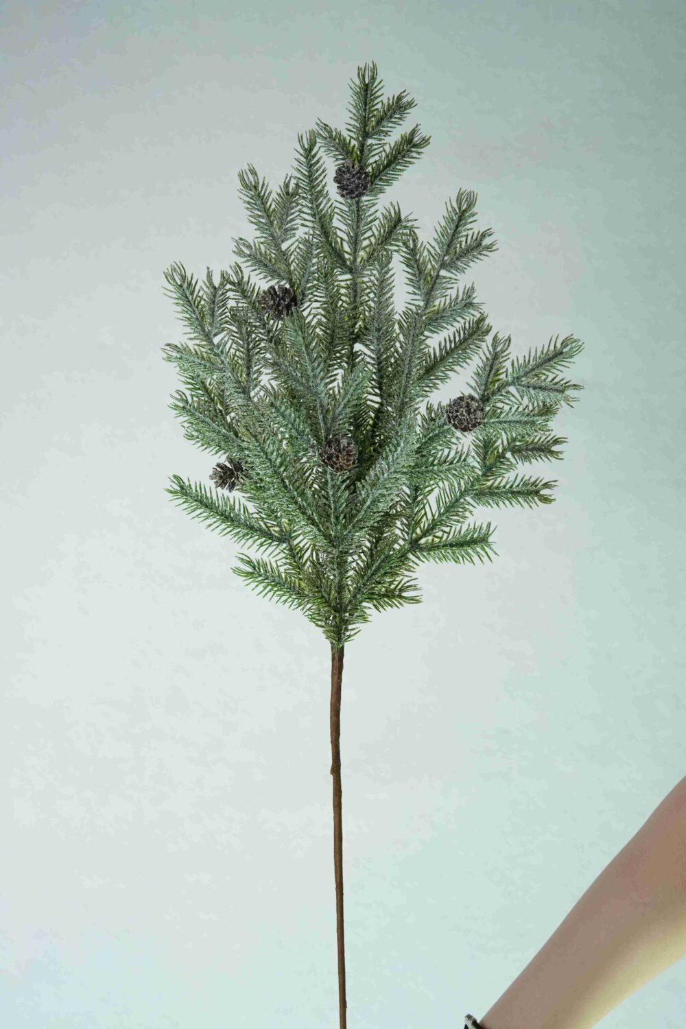 Gesamtansicht eines mit Frost überzogenen, immergrünen Weihnachtszweigs mit feinen grünen Nadeln, kleinen Tannenzapfen und einem langen braunen Stiel