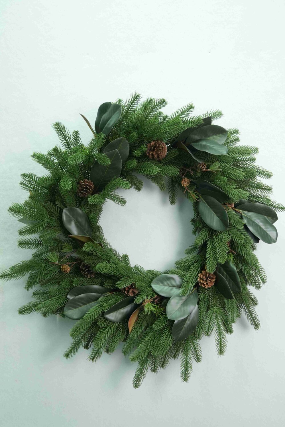 Gesamtansicht eines künstlichen Weihnachtskranzes mit glänzenden, dunkelgrünen, magnolienartigen Blättern, immergrünen Zweigen und braunen Tannenzapfen