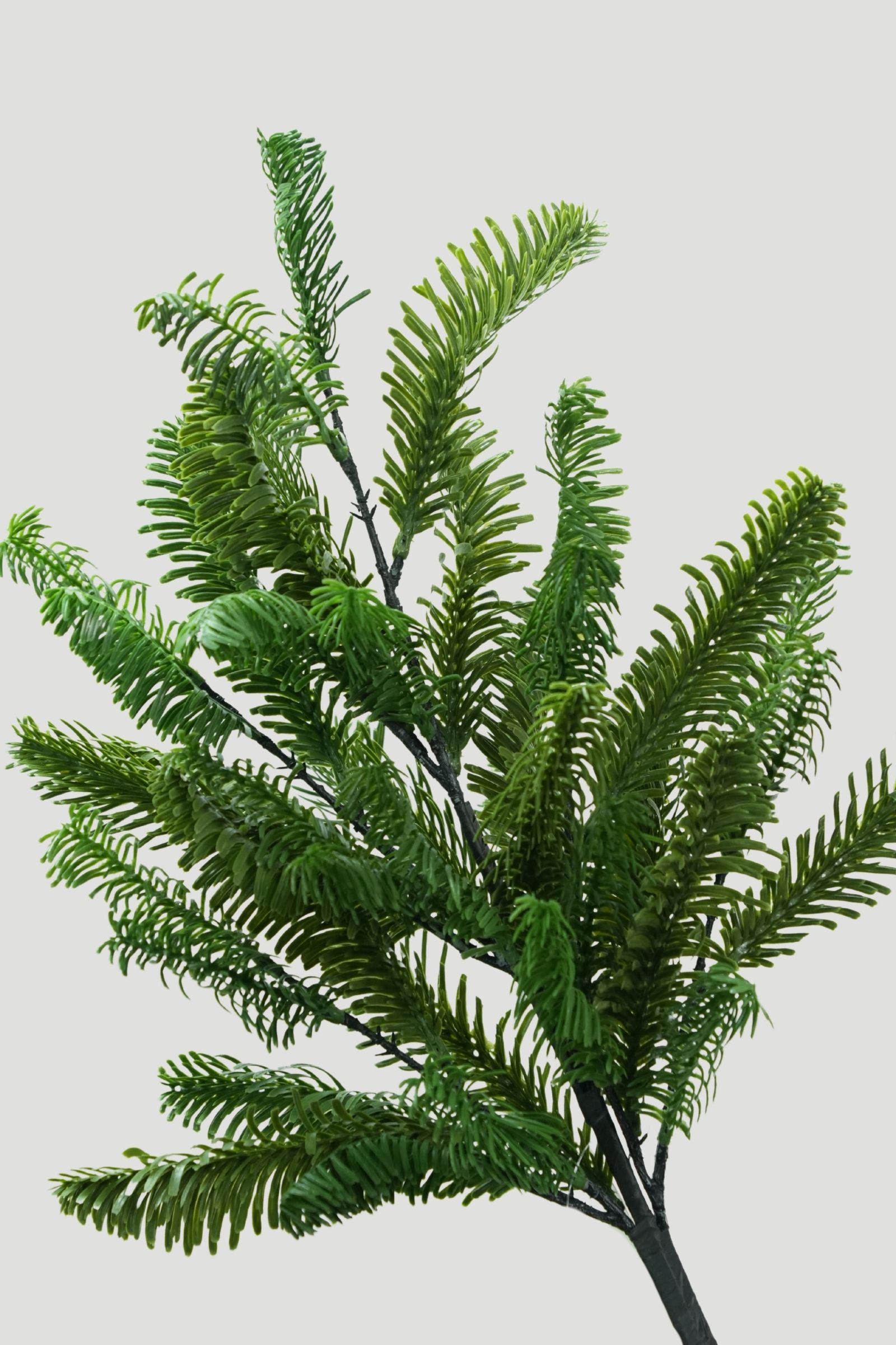 Upper foliage of a Real Touch Fir Branch showing spreading green needle branches