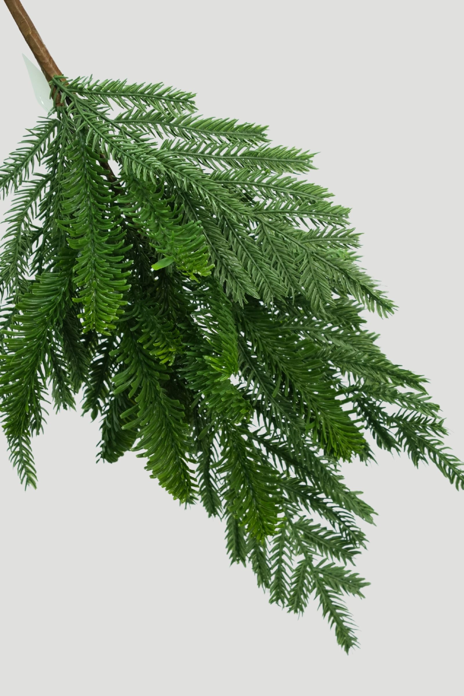 Close-up of green fir-style needles and branching stems on a Real Touch Fir Spray