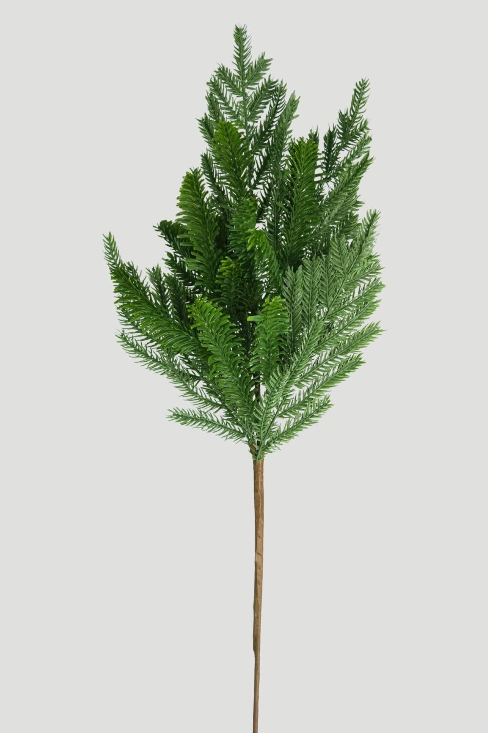 Full view of a 71cm Real Touch Fir Spray with upright green branches and a long brown stem